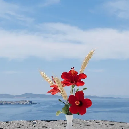 Mykonos View